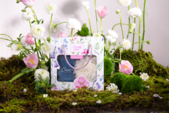 [SET LỊCH LÃM] Sữa Tắm Gội Rửa Mặt Nam 3in1 Caesar's Legend Svanor 500ml