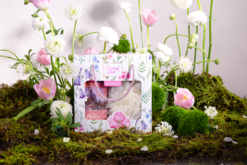 [SET DỊU DÀNG] Set Quà Gel Nước Hoa Dưỡng Da Nữ Svanor