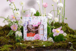 [SET THANH NHÃ] Combo Gel Tắm 500ml Và Bodymist Hương Nước Hoa 150ml