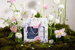 [SET PHONG NHÃ] Combo Gel Tắm Gội Nam 3in1 500ml Và Body Mist 150ml Caesar’s Legend Svanor